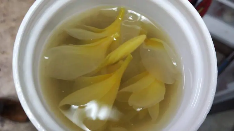 gastronomía